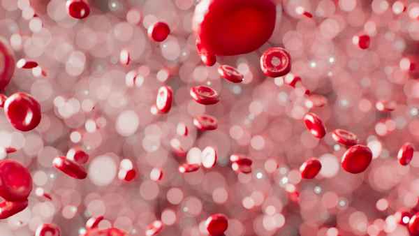 Чем вреден холестерин? Чем вреден холестерин?